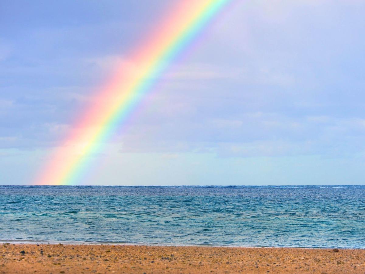 LGBTQ+ Businesses on MVY