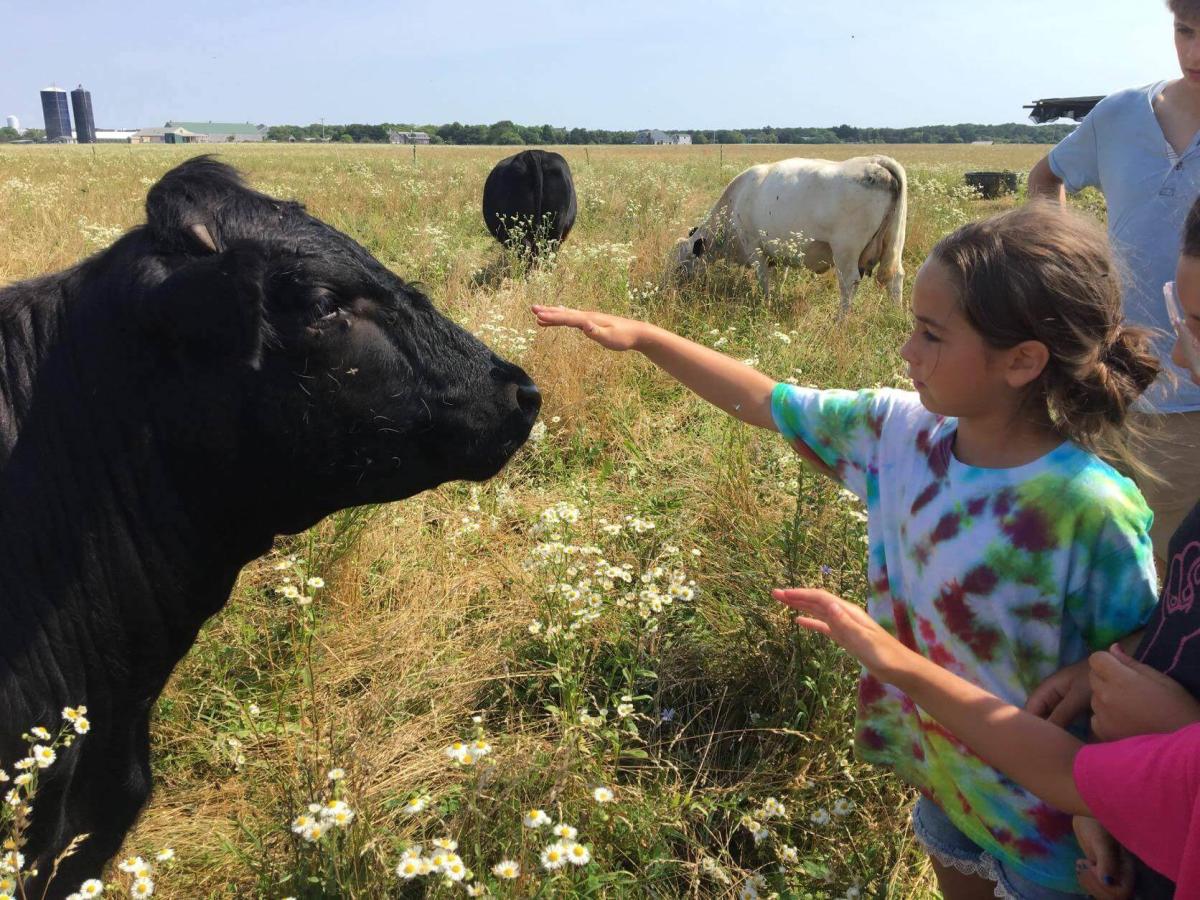 Educational Trips and Tours for Kids on Martha’s Vineyard