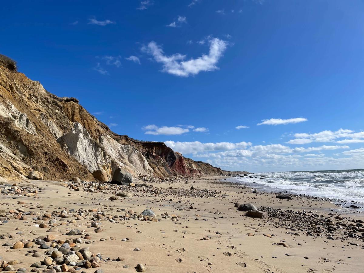 Should You Bring a Car to Martha's Vineyard? Your Complete Guide!