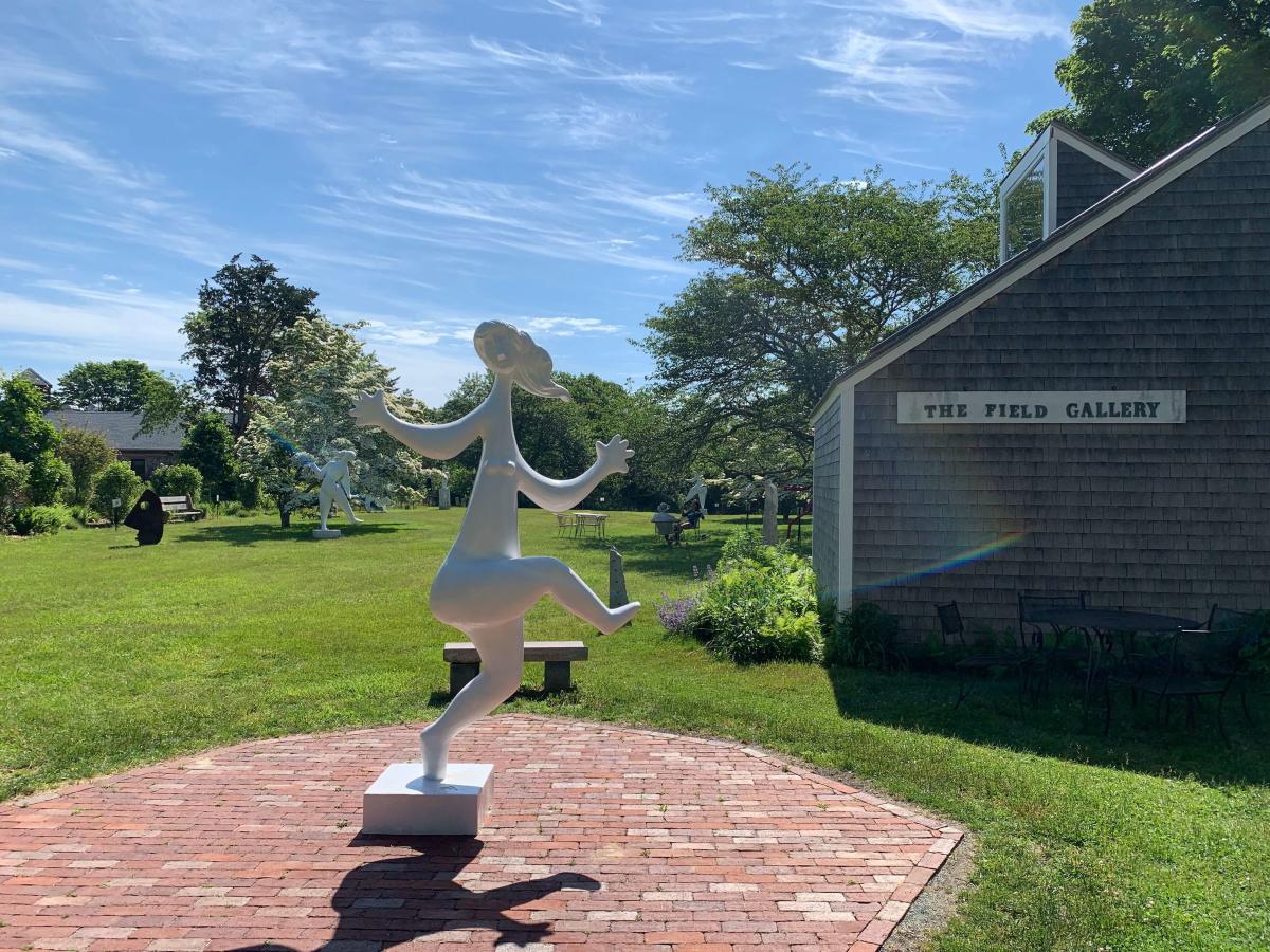 Fun and Free Things to Do on Martha’s Vineyard: A Local’s Guide to Exploring the Island on a Budget