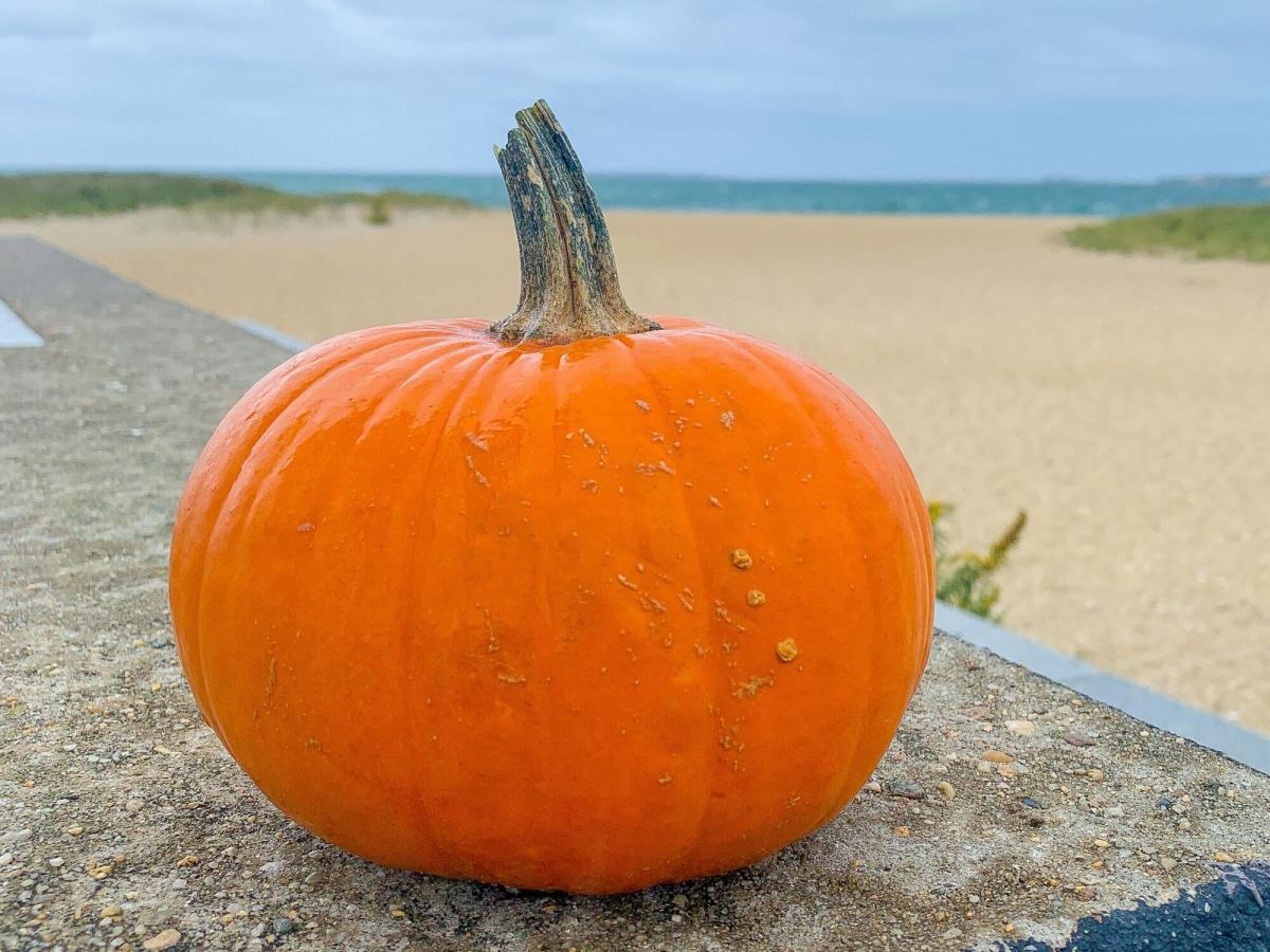 Halloween Happenings on Martha's Vineyard