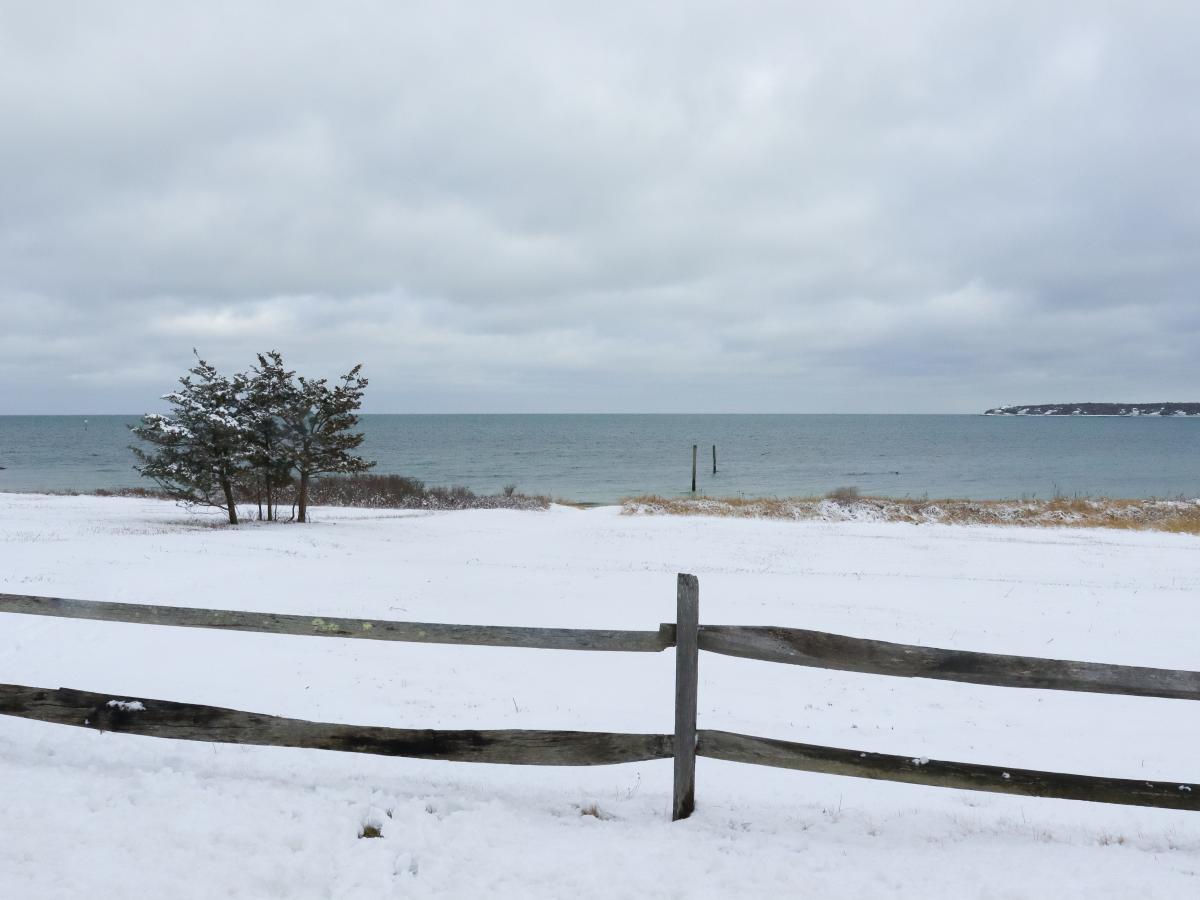 Snow Day