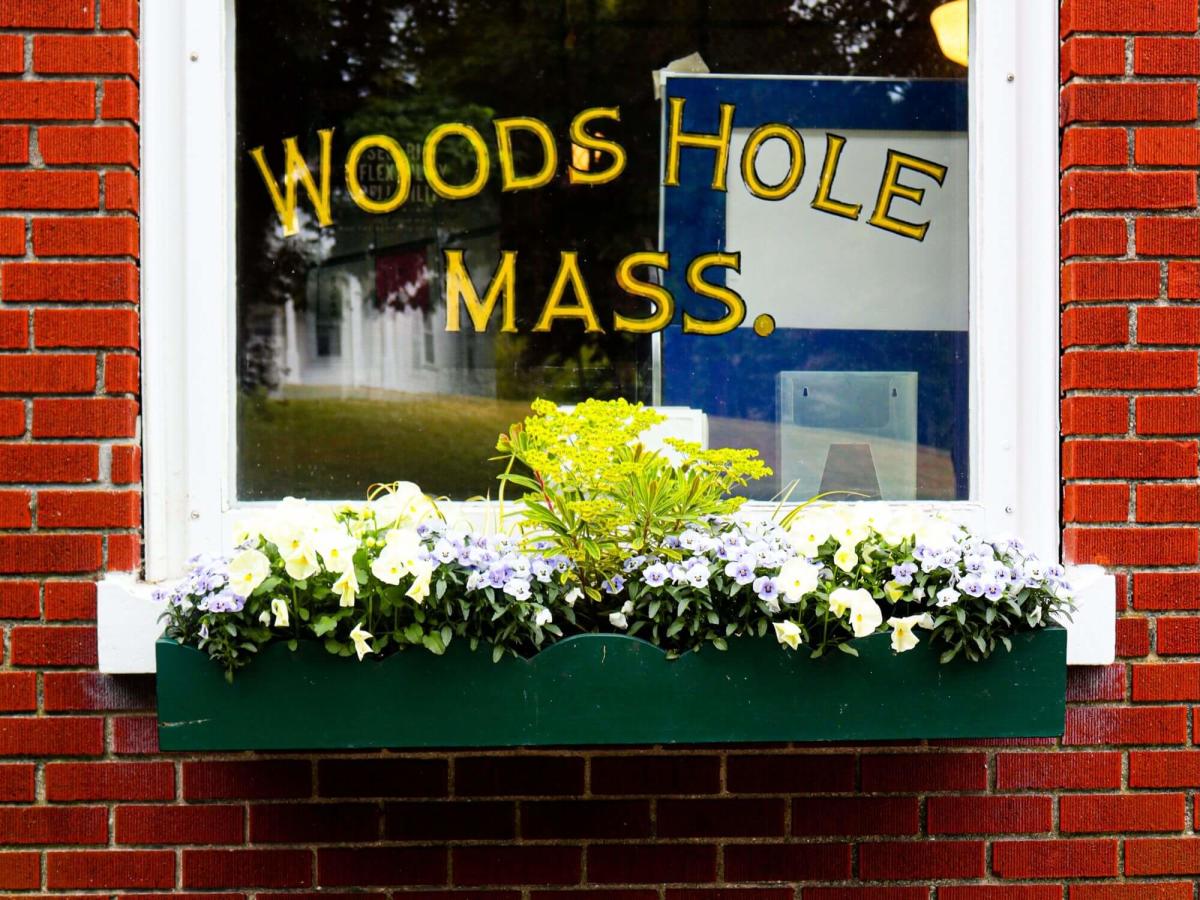 24 Hours in Woods Hole, MA