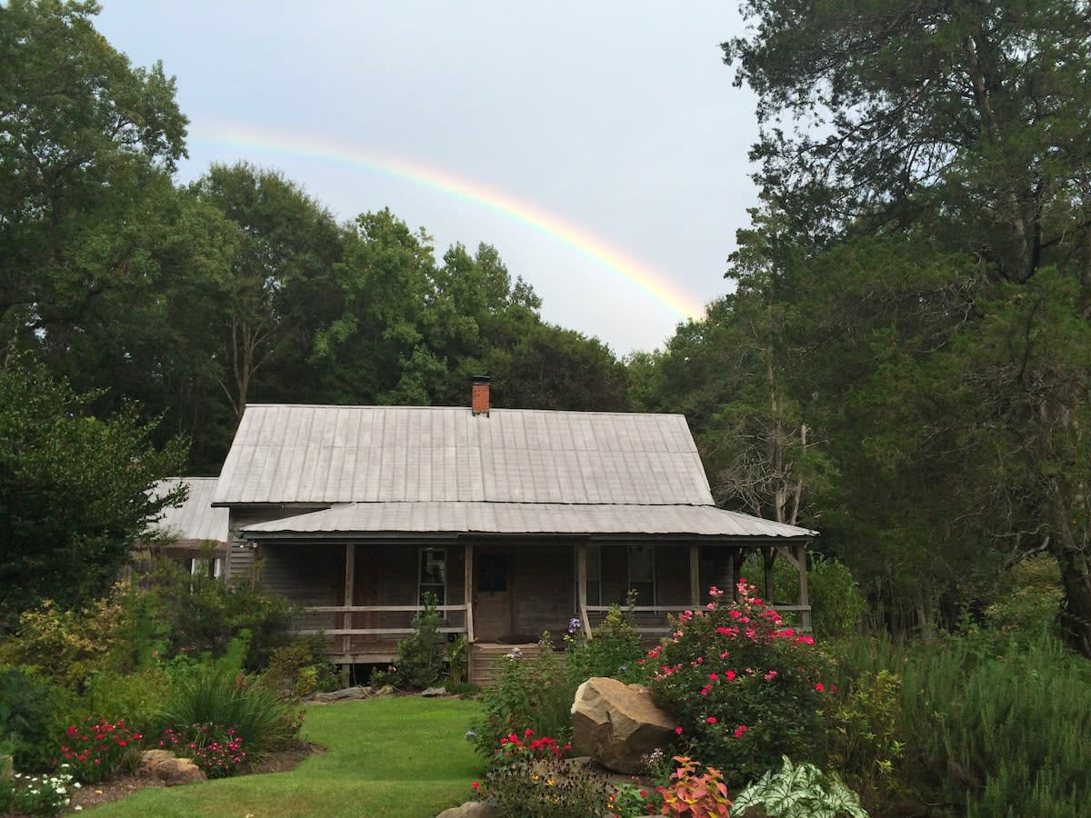 Nature's Nest Vacation Rental