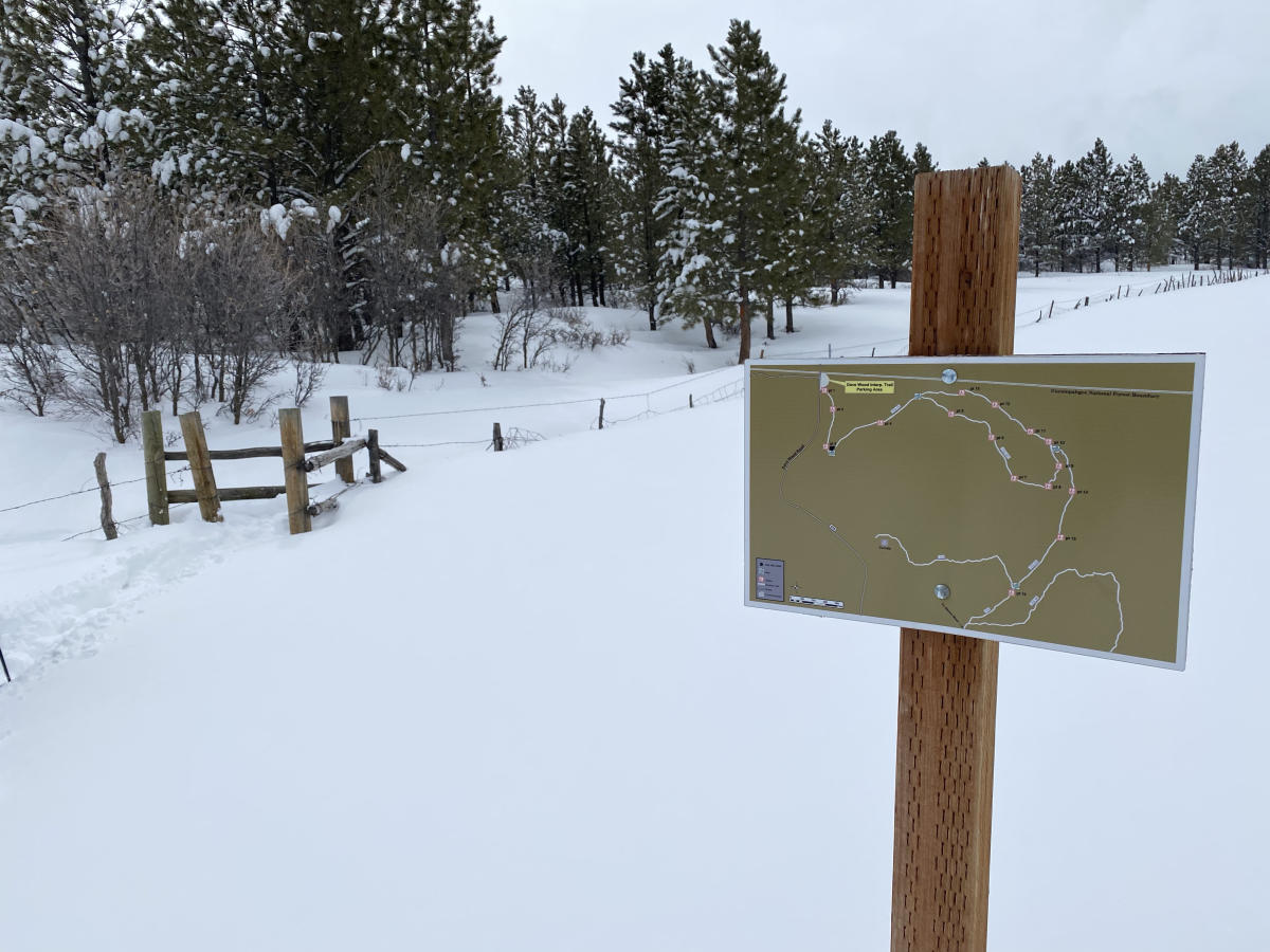 Map of Simms Mesa Loop