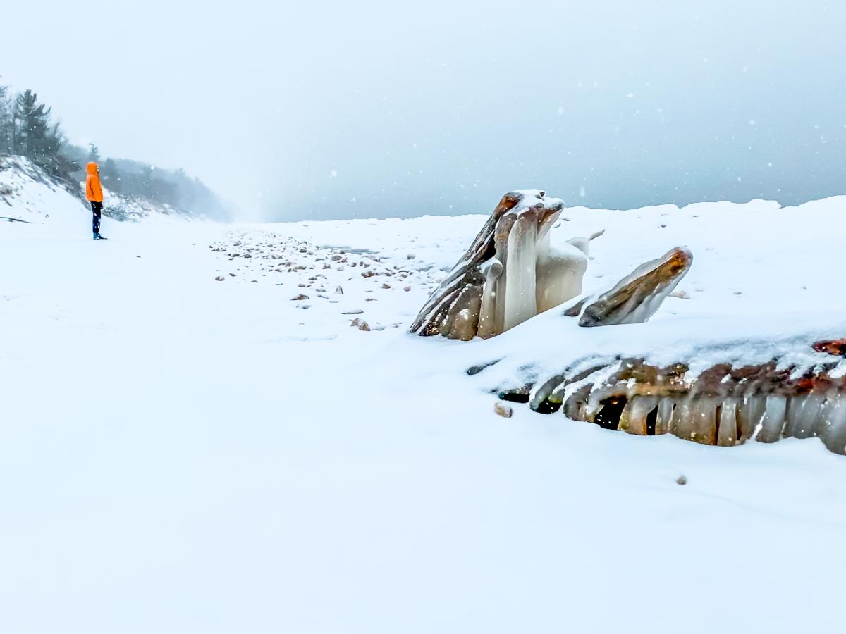 woman in bright yellow winter coat stands in distance on snow covered lake michigan shoreline. pine trees fade into the horizon on left and ice covered driftwood in in foreground.