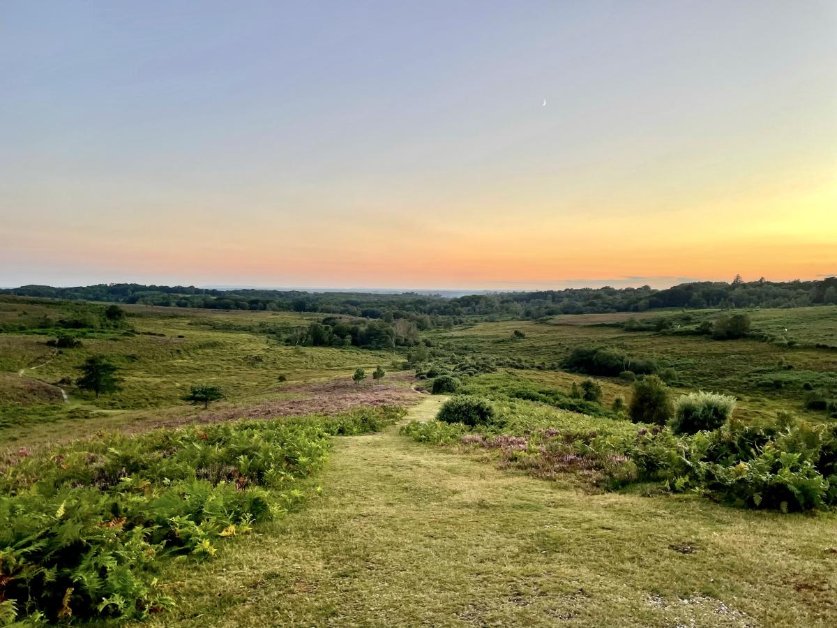 Summer solstice blog 3 - June 2023