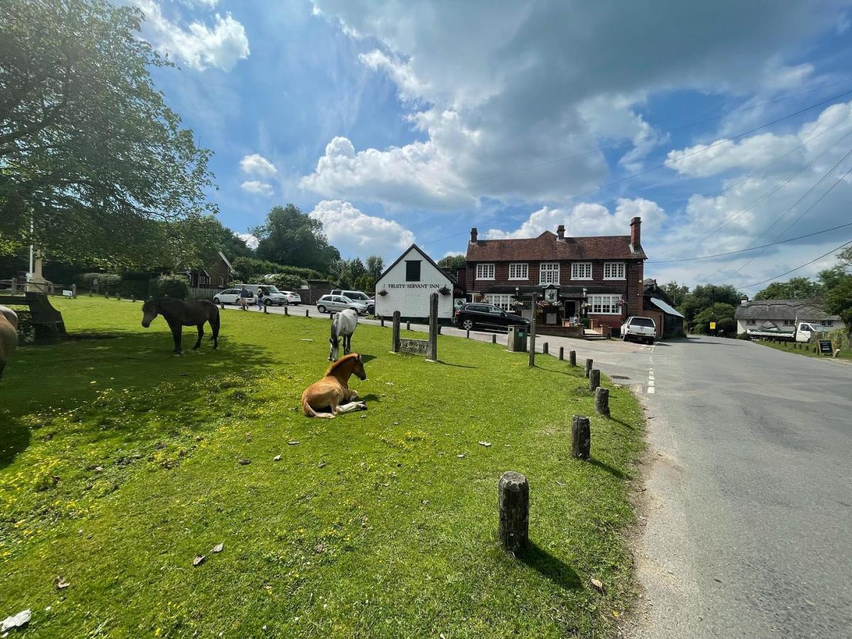 Minstead village green looking at The Trusty Servant Inn in the New Forest