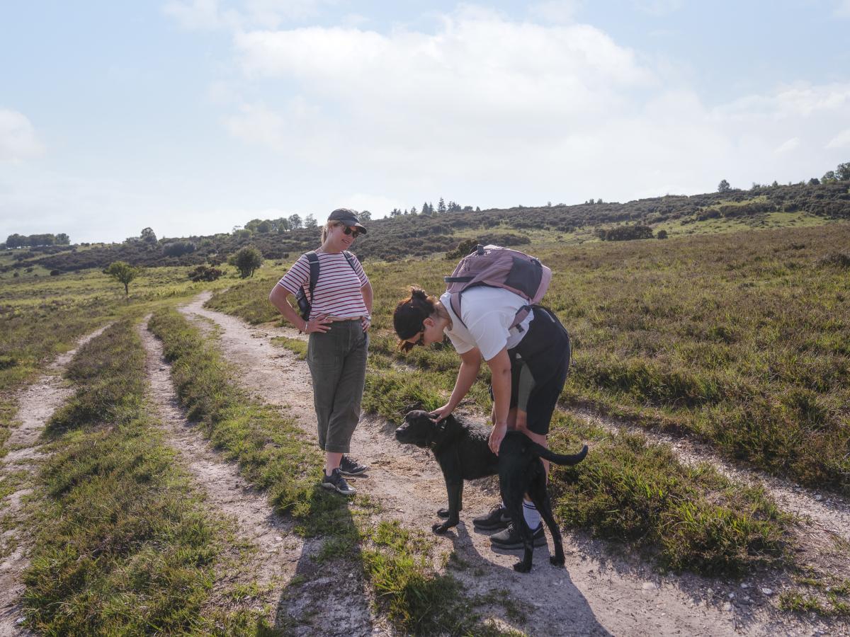Two women walking in the New Forest with a dog