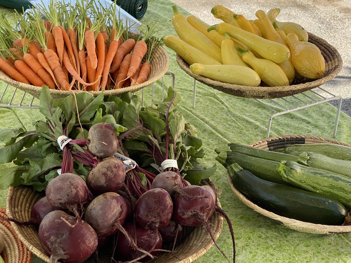 Farm Fridays at Black Mesa Winery