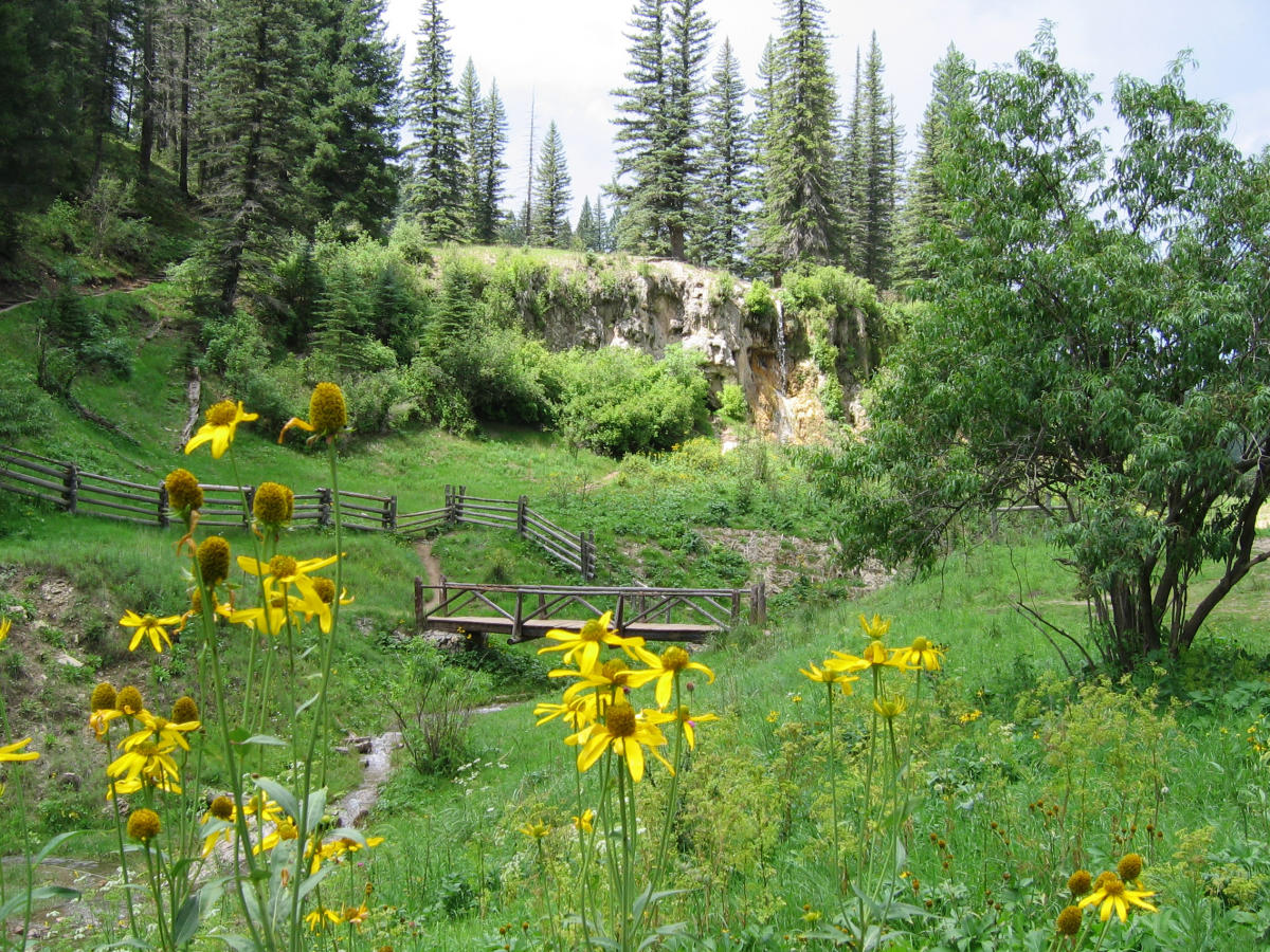 Lincoln Wilderness