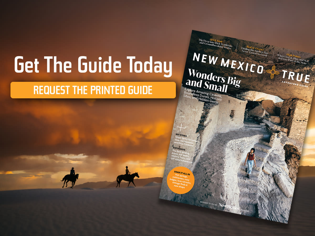 new mexico travel guide book