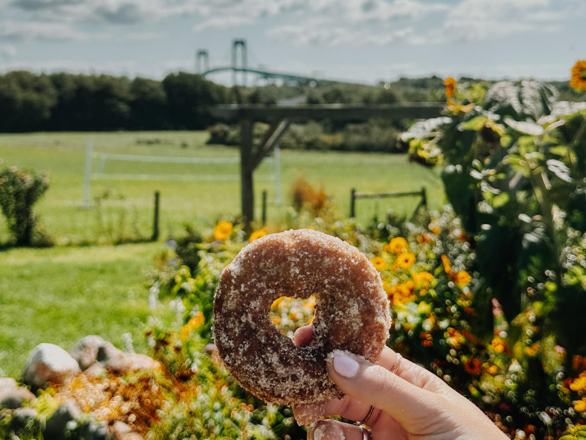 Hard Pressed Cider Co.