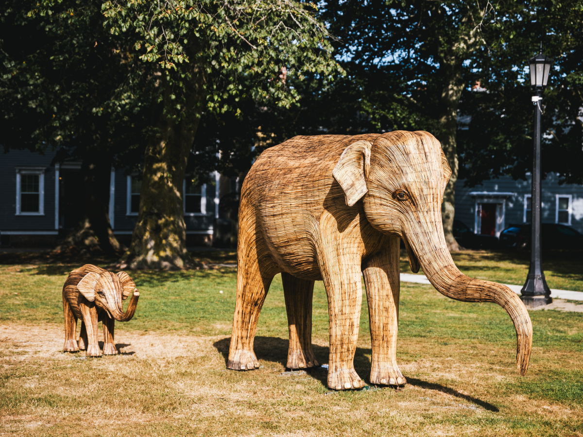 Elephants in Aquidneck Park