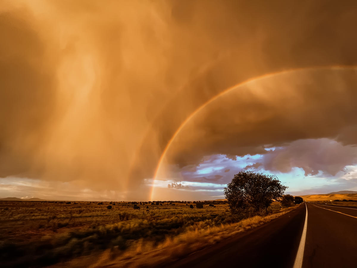 Through the Storm by Trisha Hughes