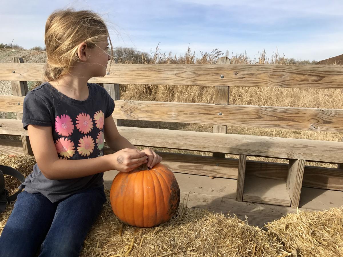 hay rack ride with pumpkin at Bellevue Berry and Pumpkin Ranch