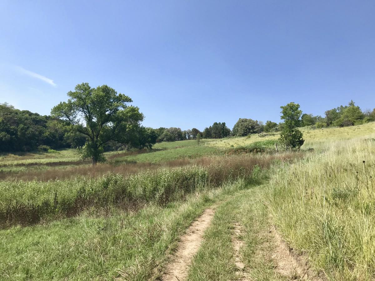 Neale Woods in Omaha