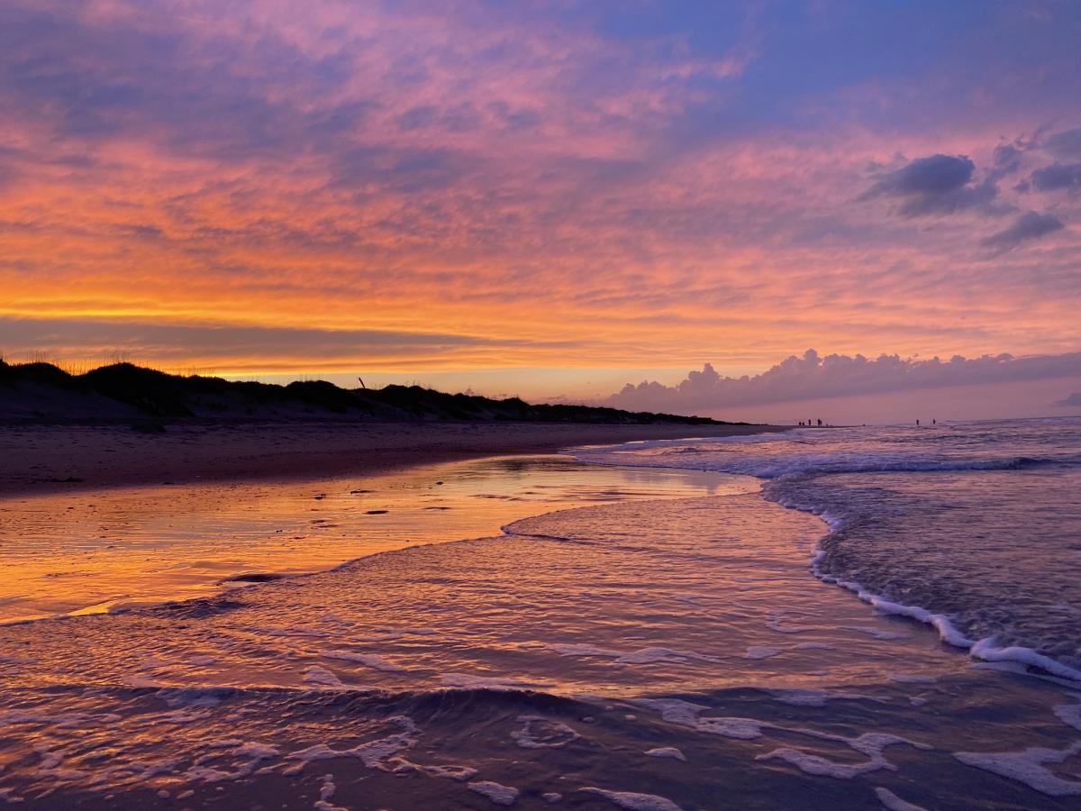 duck beach sunset
