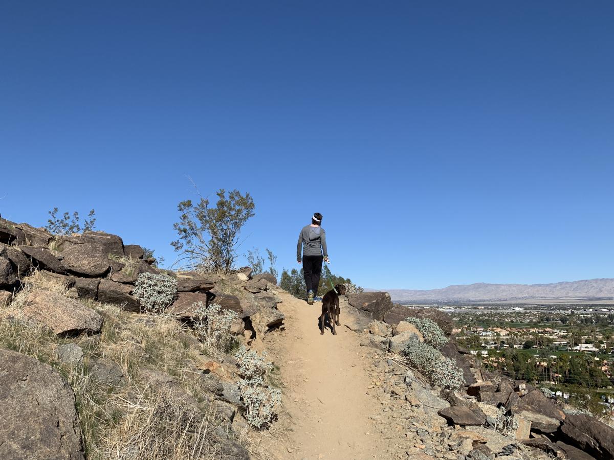 easy hikes in Palm Springs