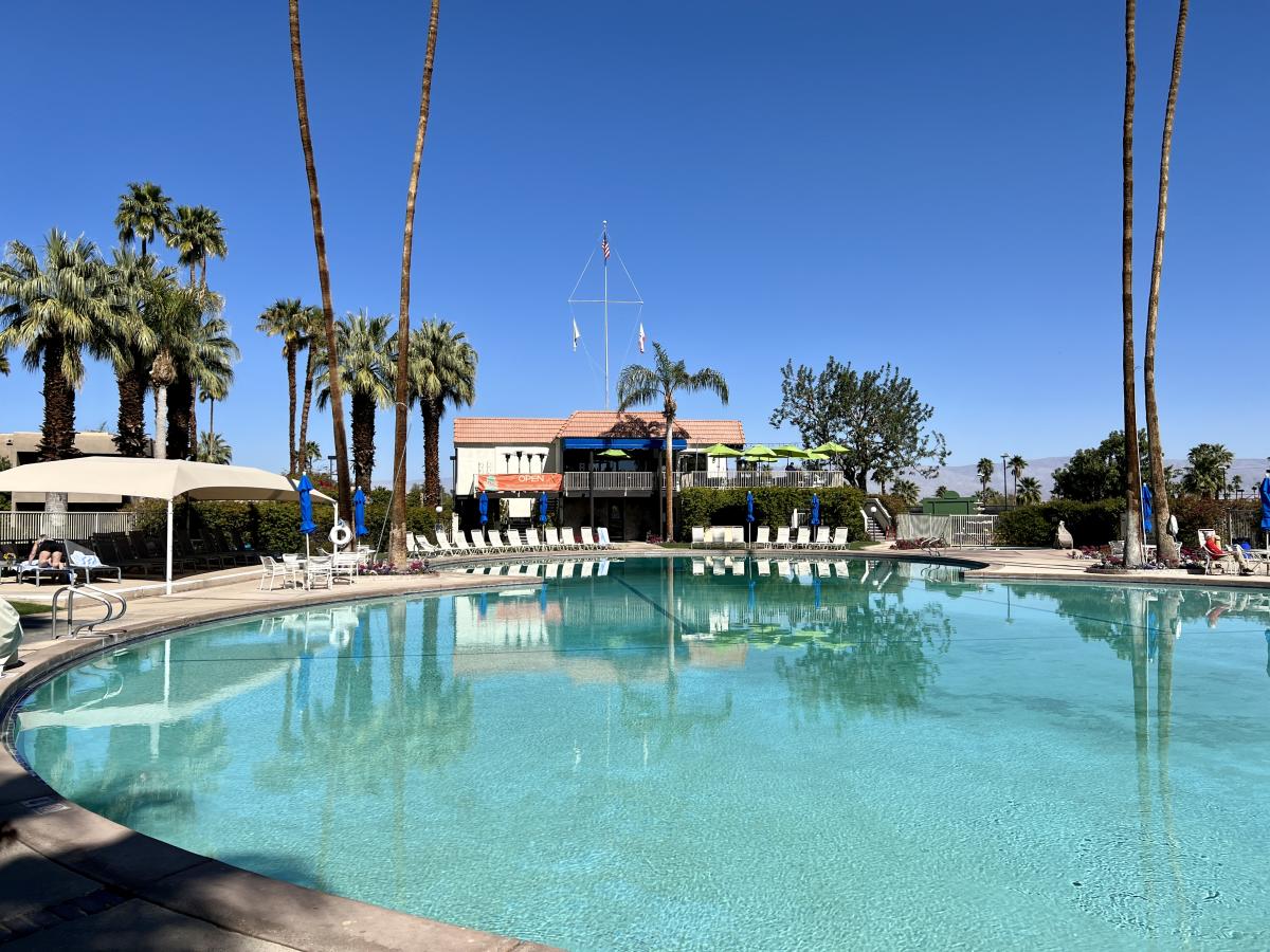 No Holds Barred: The Poodle Parade in Palm Springs