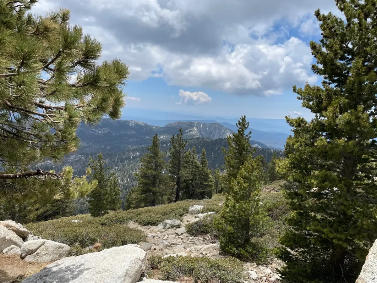 A mountain landscape with pine trees in the foreground and a view of distant hills under a partly cloudy sky.