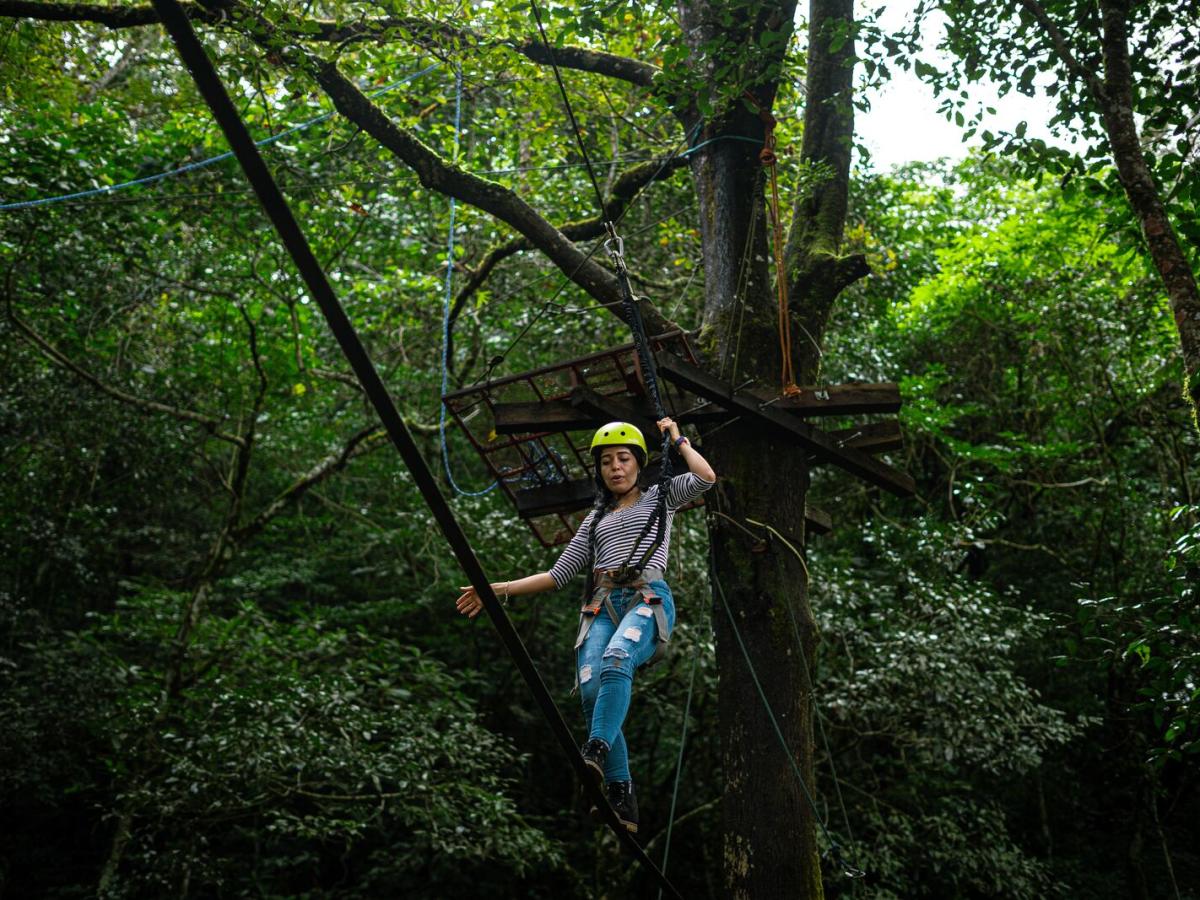 Sky walking, Bajo Boquete, Chiriquí province