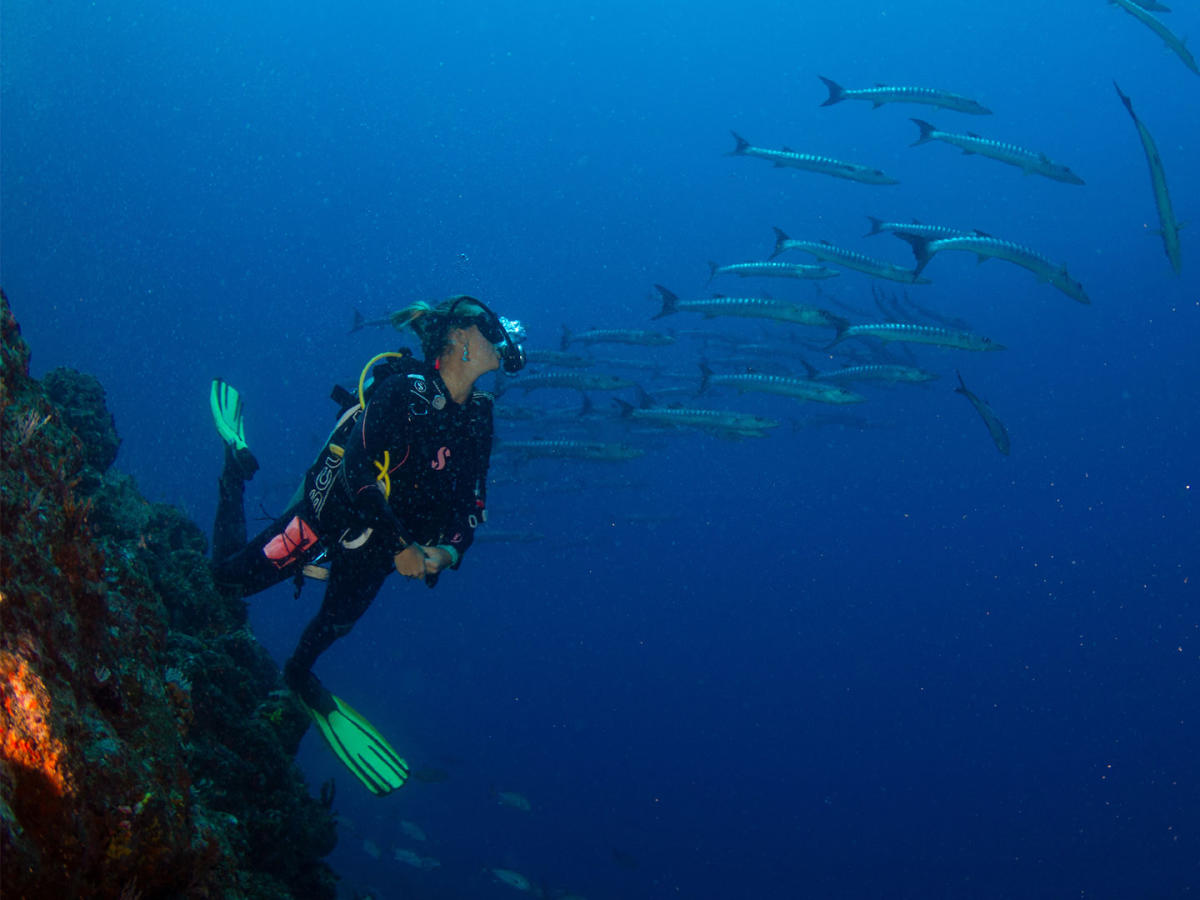 Diving near corals and colorful schools of fish in Islas de Afuera, Coiba