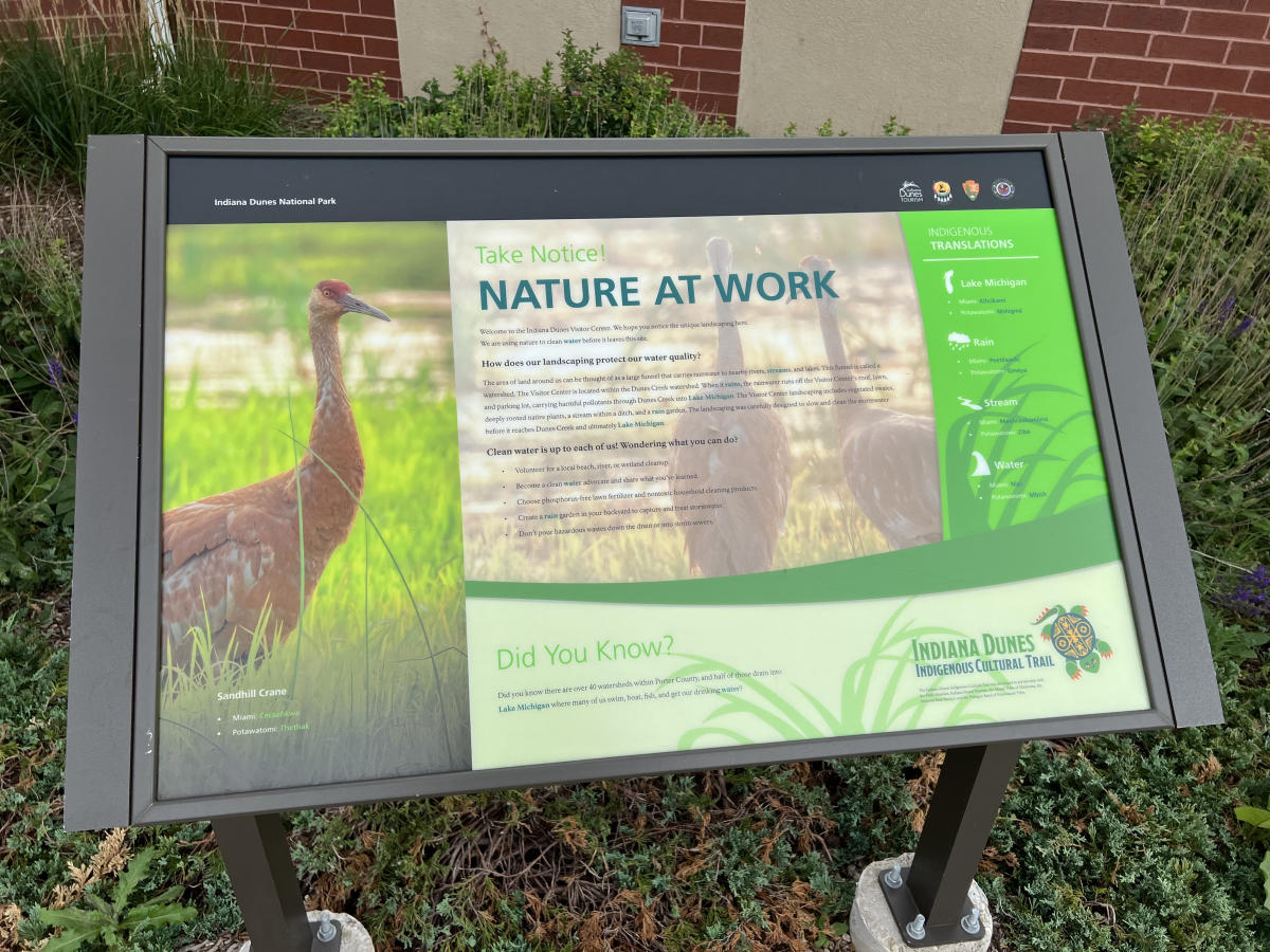 An informational sign about "Nature At Work" with a sandhill crane picture