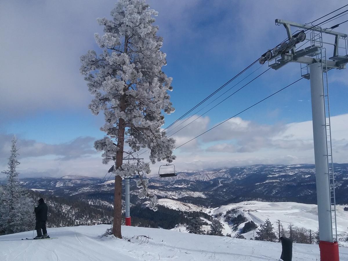 Snowy landscape with a frosted pine tree and a ski lift on a mountain. A skier stands on a snowy slope, with vast mountains under a blue sky.