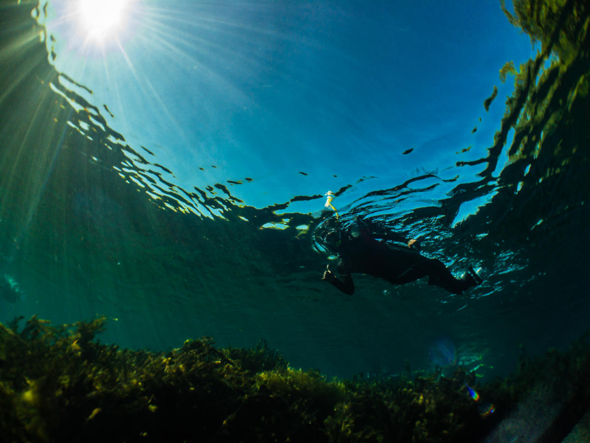 Snorkeler exploring the surface of Spring Lake