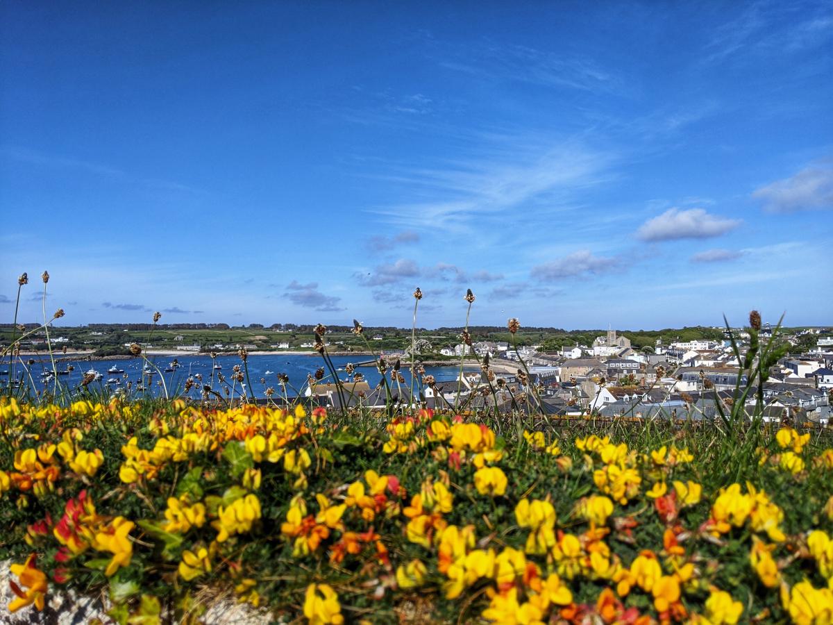 A view of Hugh Town and flowers