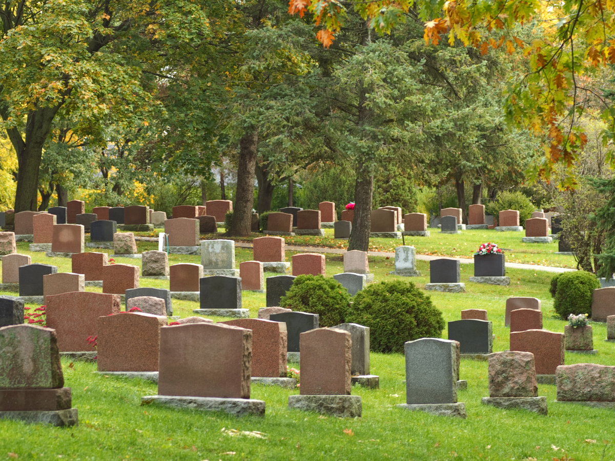 plain cemetery in daylight