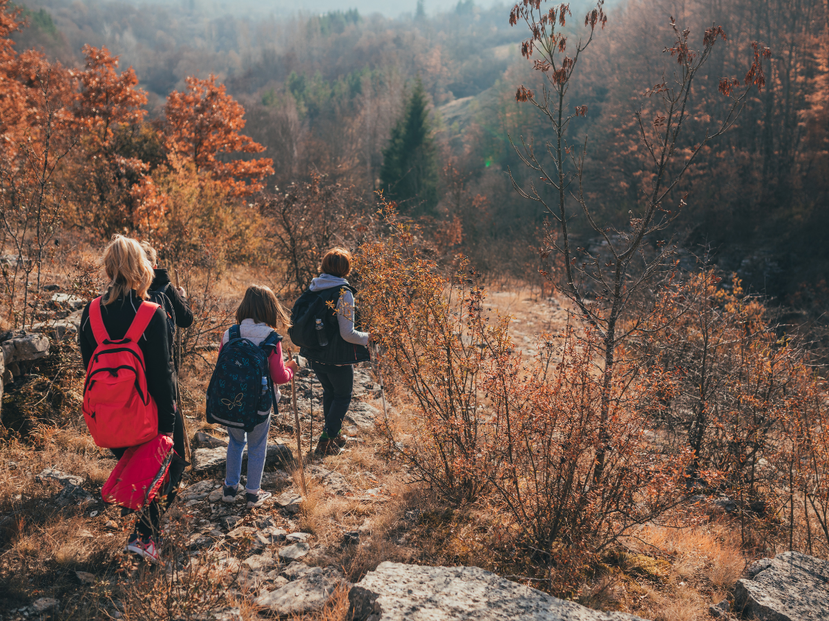 A family hiking down a mountain trail with a stunning view of autumn-colored trees at Sampson State Park.