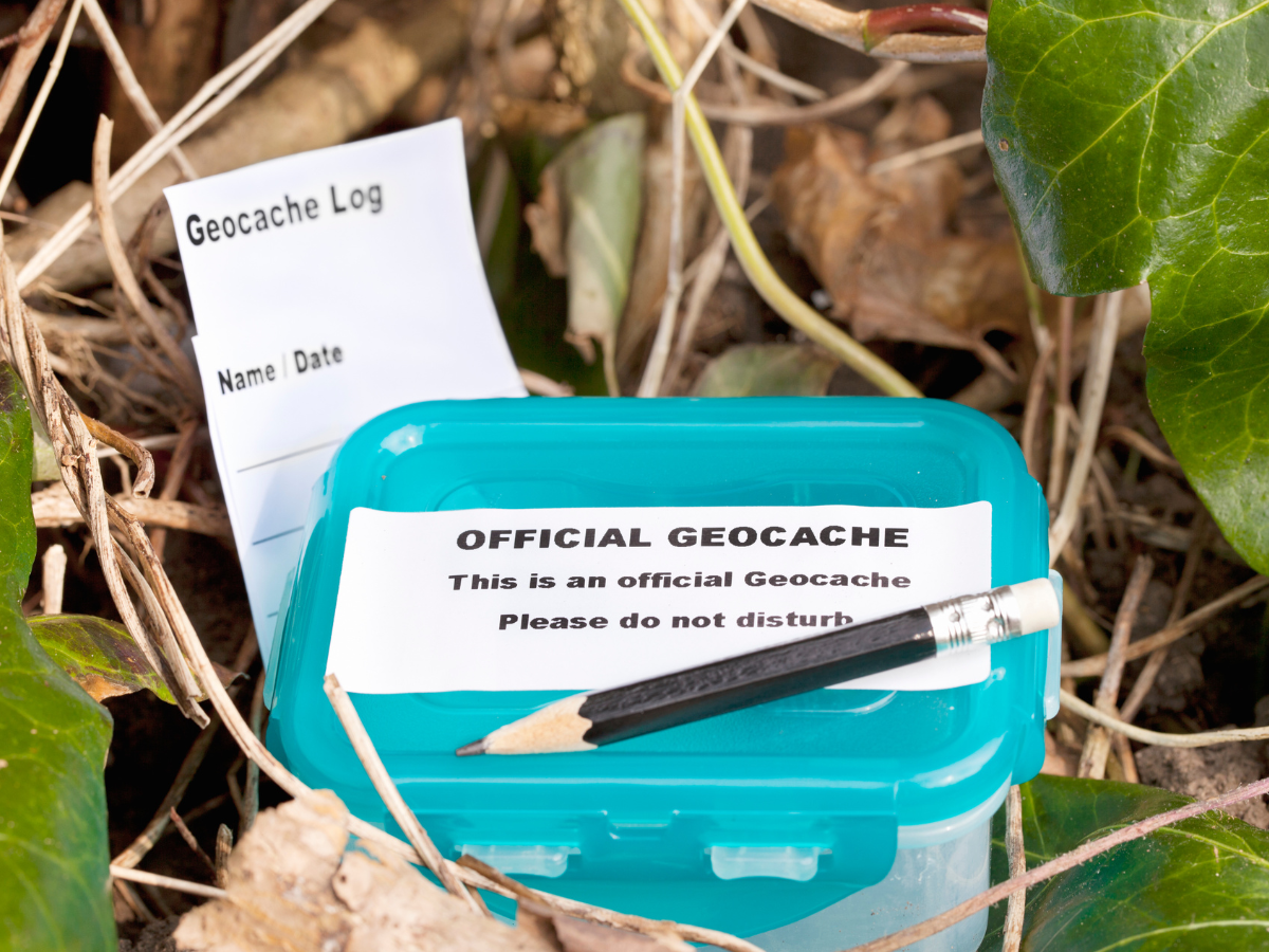 geocache container and logbook with a pencil surrounded by leaves
