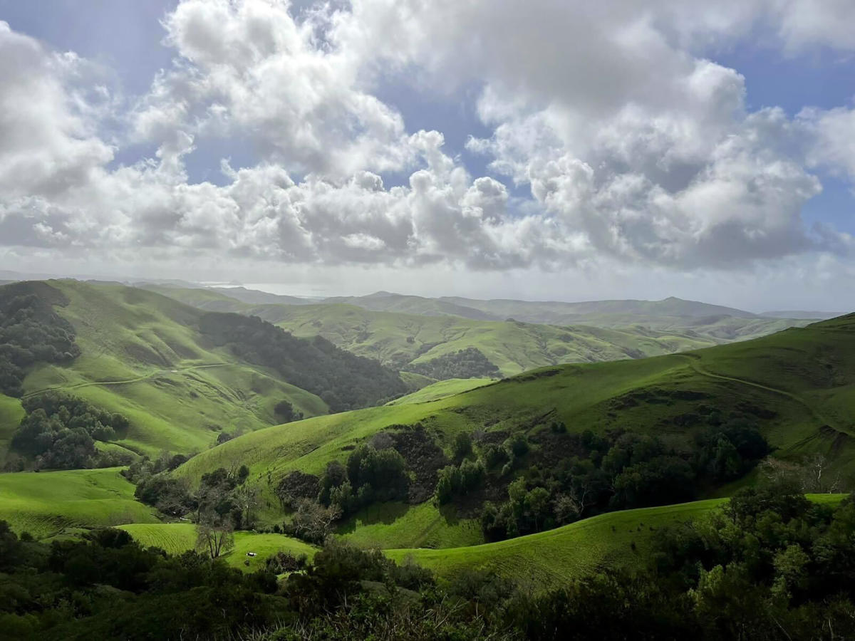 green hills in slo cal