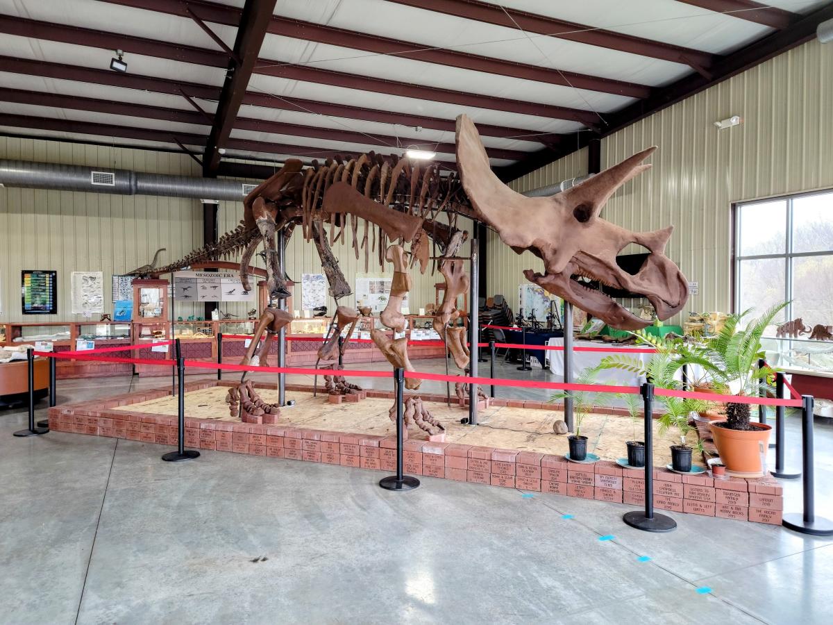 Missouri Institute of Natural Science
