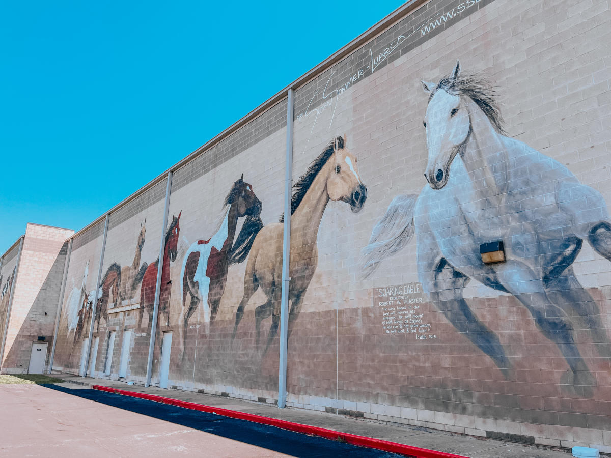 Horses Mural Alamo Drafthouse