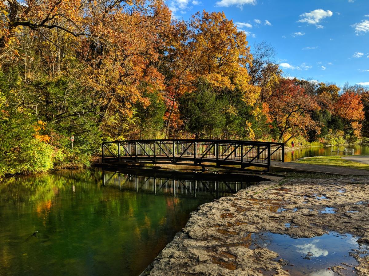 Sequiota Park in the fall