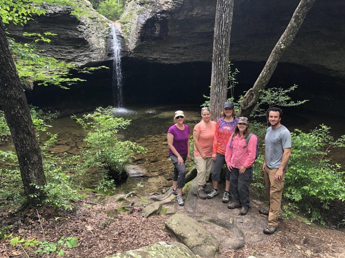 Waterfall Hike