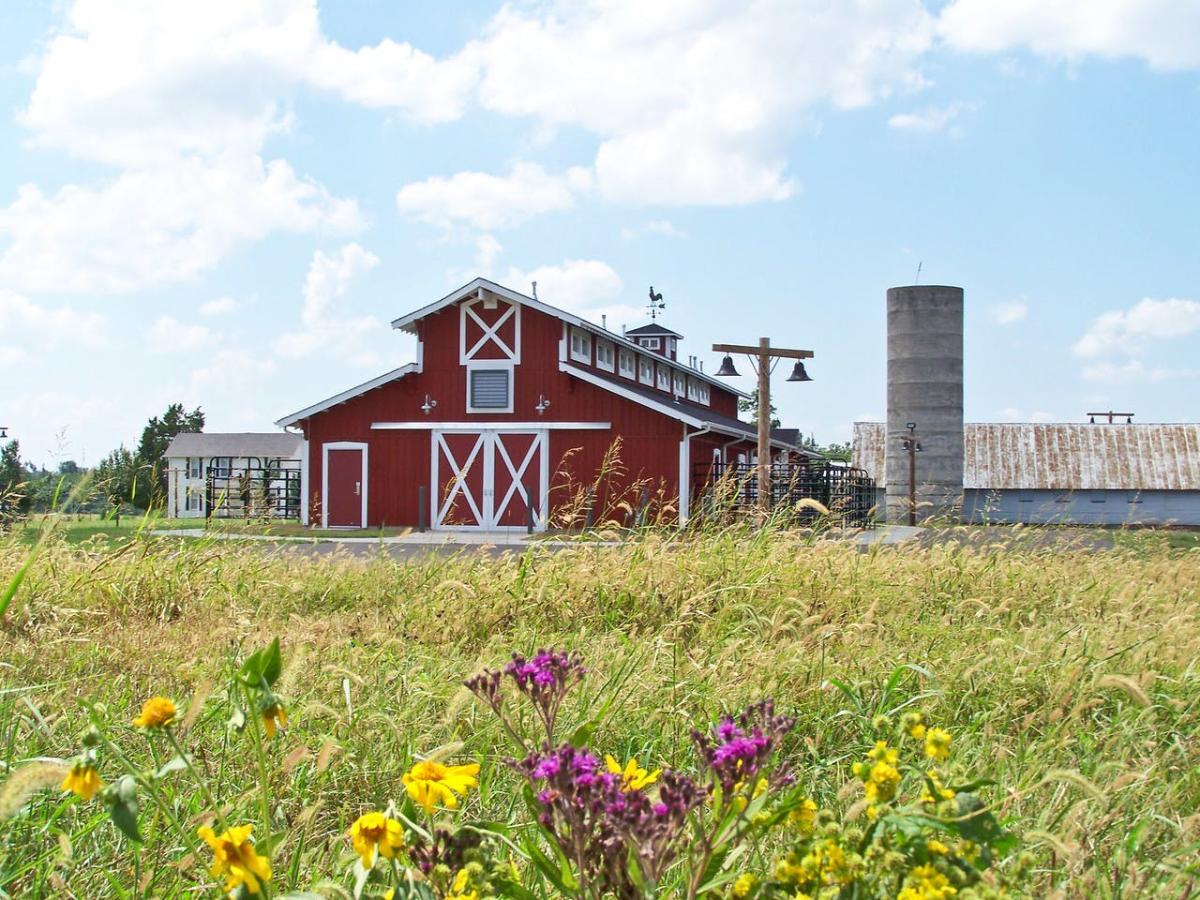 Rutledge-Wilson Farm Park