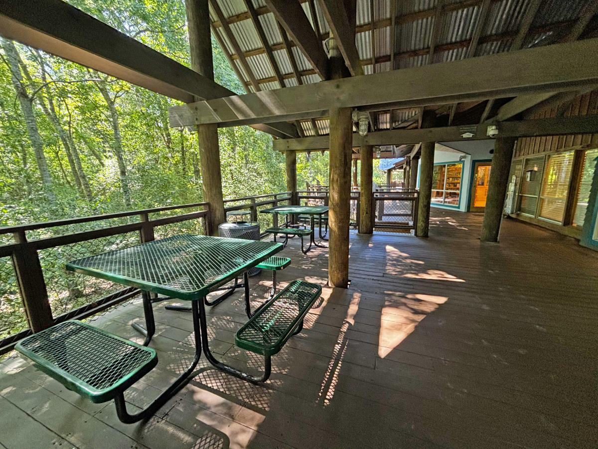 Two green picnic tables sit on the covered deck of the Visit The Northshore Visitor Center, overlooking the boardwalk and wooded swamp landscape in Mandeville, Louisiana.