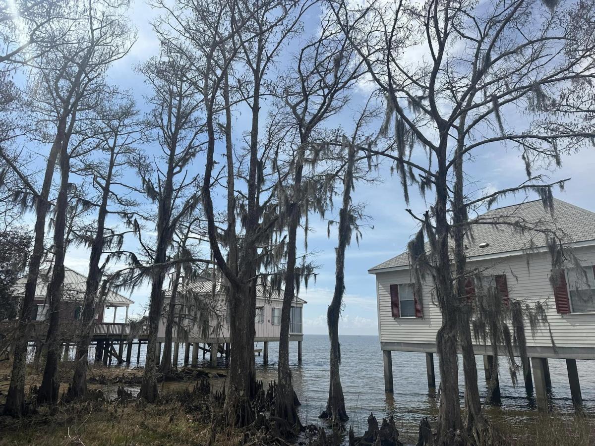 Fontainebleau State Park cabins among cypress trees