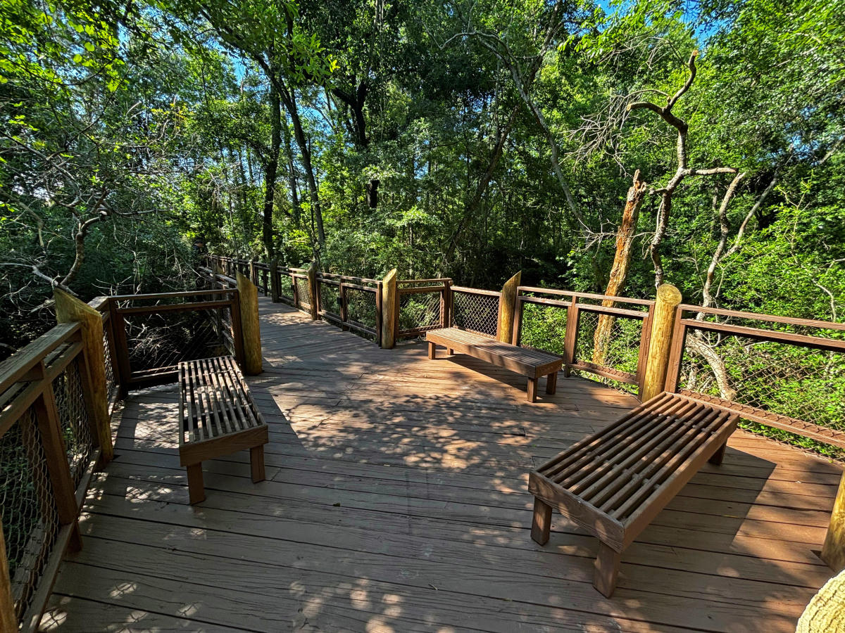 Benches line a shaded wooden boardwalk winding through the swamp forest beside the Visit The Northshore Visitor Center in Mandeville.