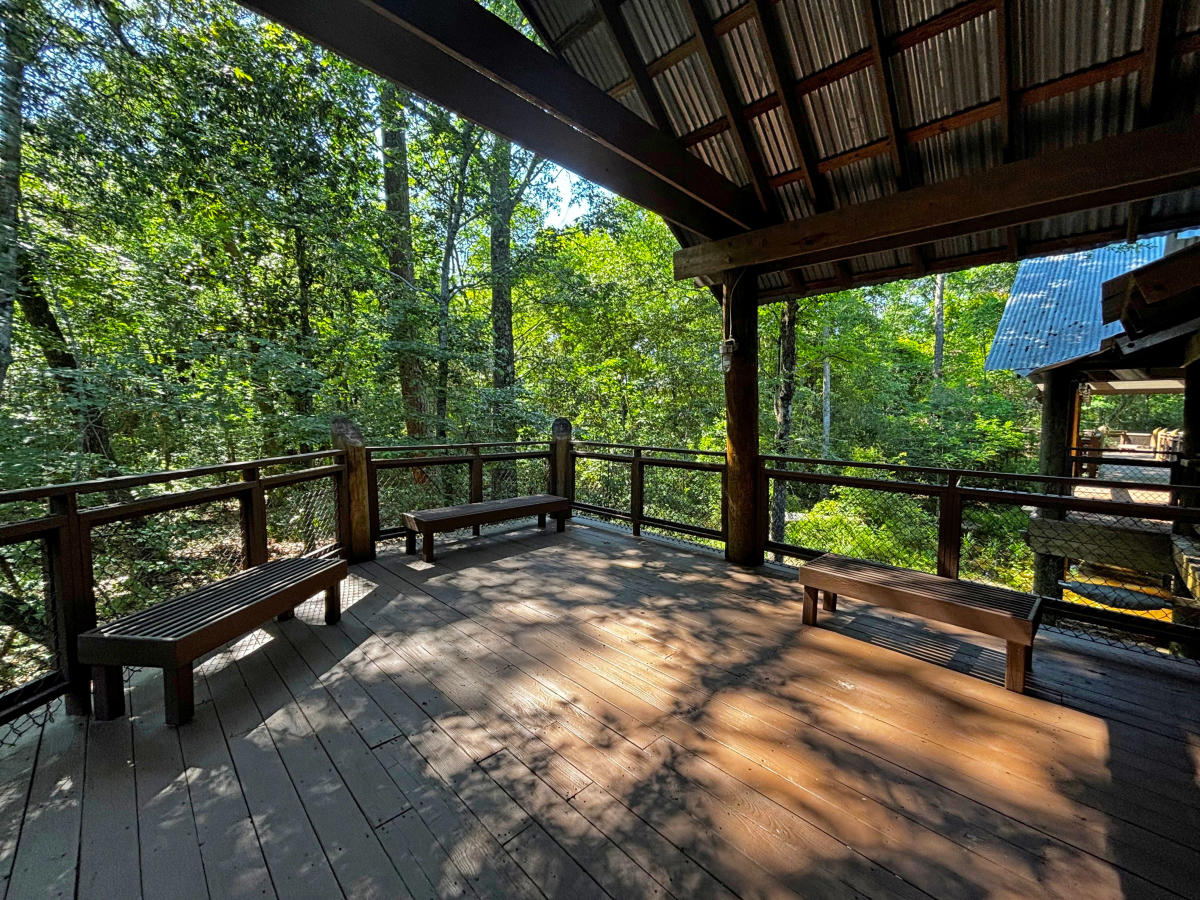 Sunlight filters across a covered deck with benches overlooking the wooded swamp surrounding the Visit The Northshore Visitor Center.