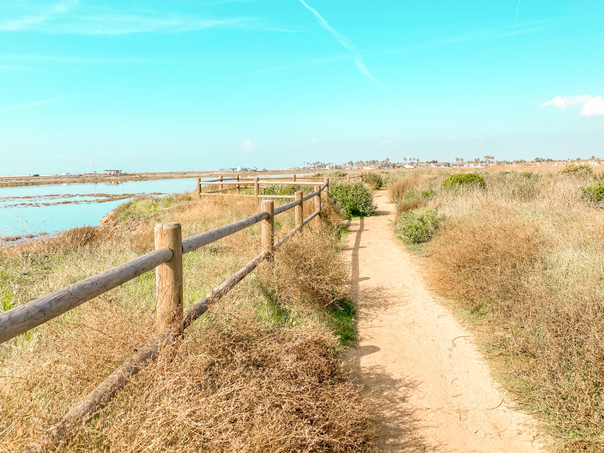 Huntington Beach Bolsa Chica Ecological Reserve