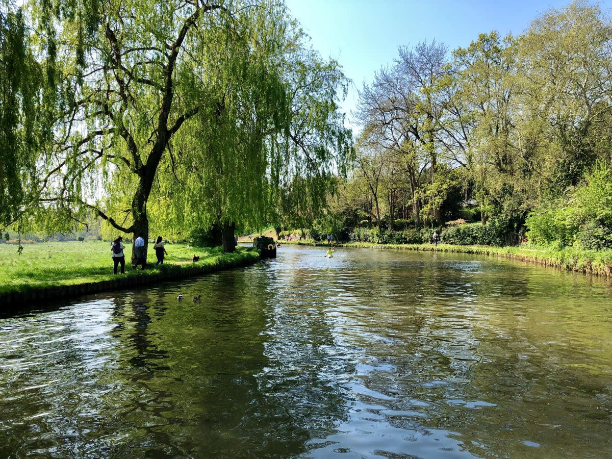 The River Wey in Guildford