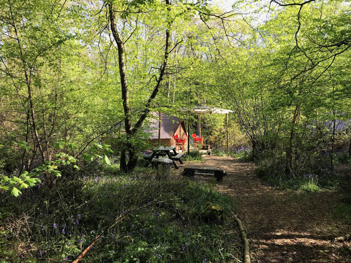Woodland Glamping at Wild Boar Wood Campsite