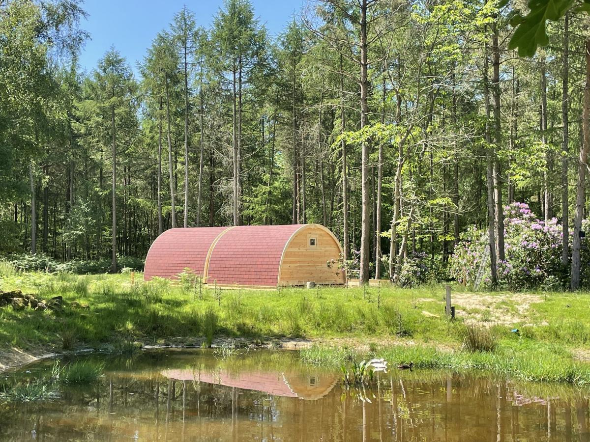 wooden glamping pod in the woods next to a pond