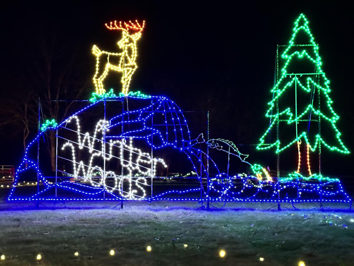 Christmas Light Show - Winter Woods