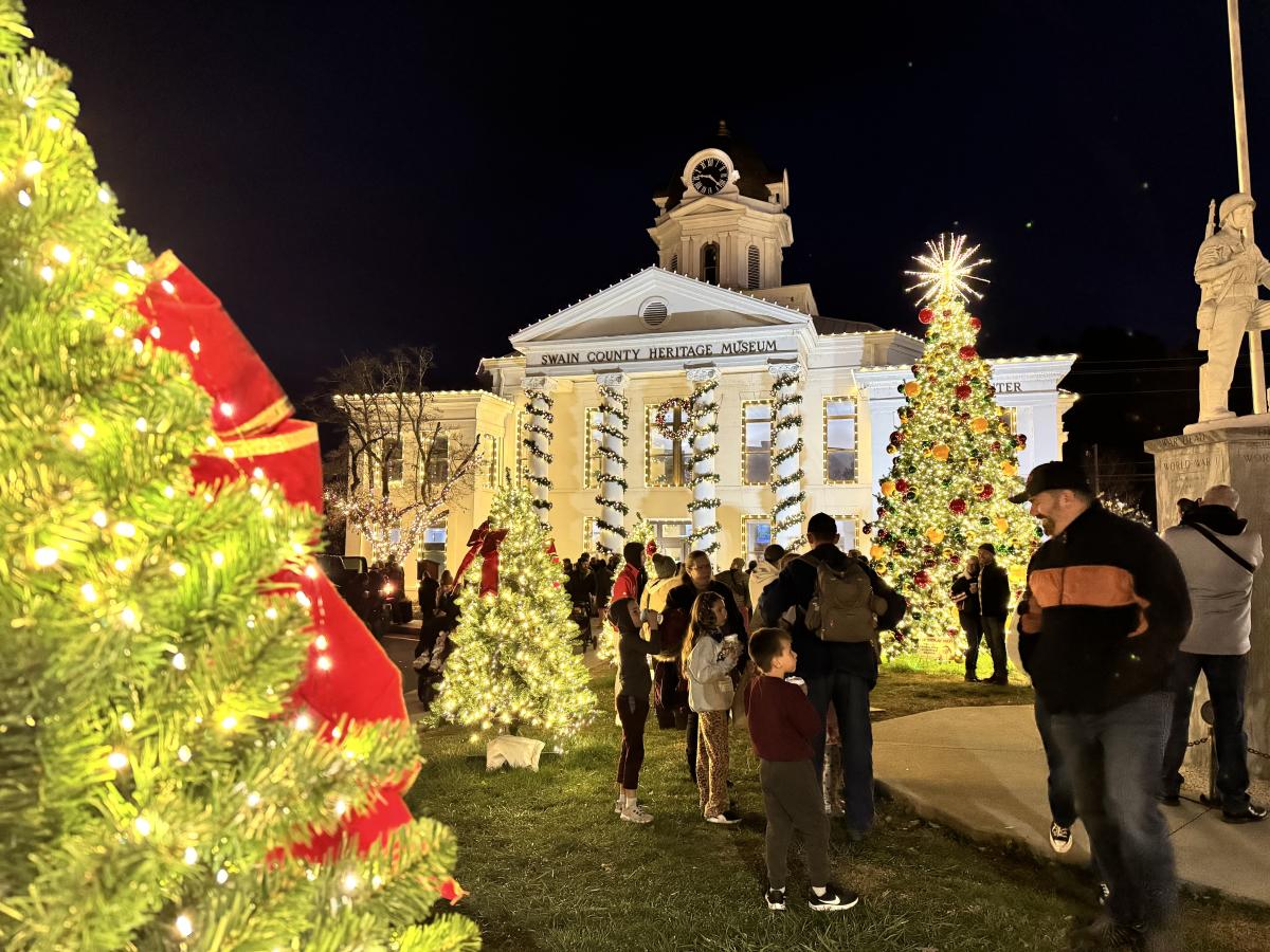 Christmas Tree Lighting Ceremony
